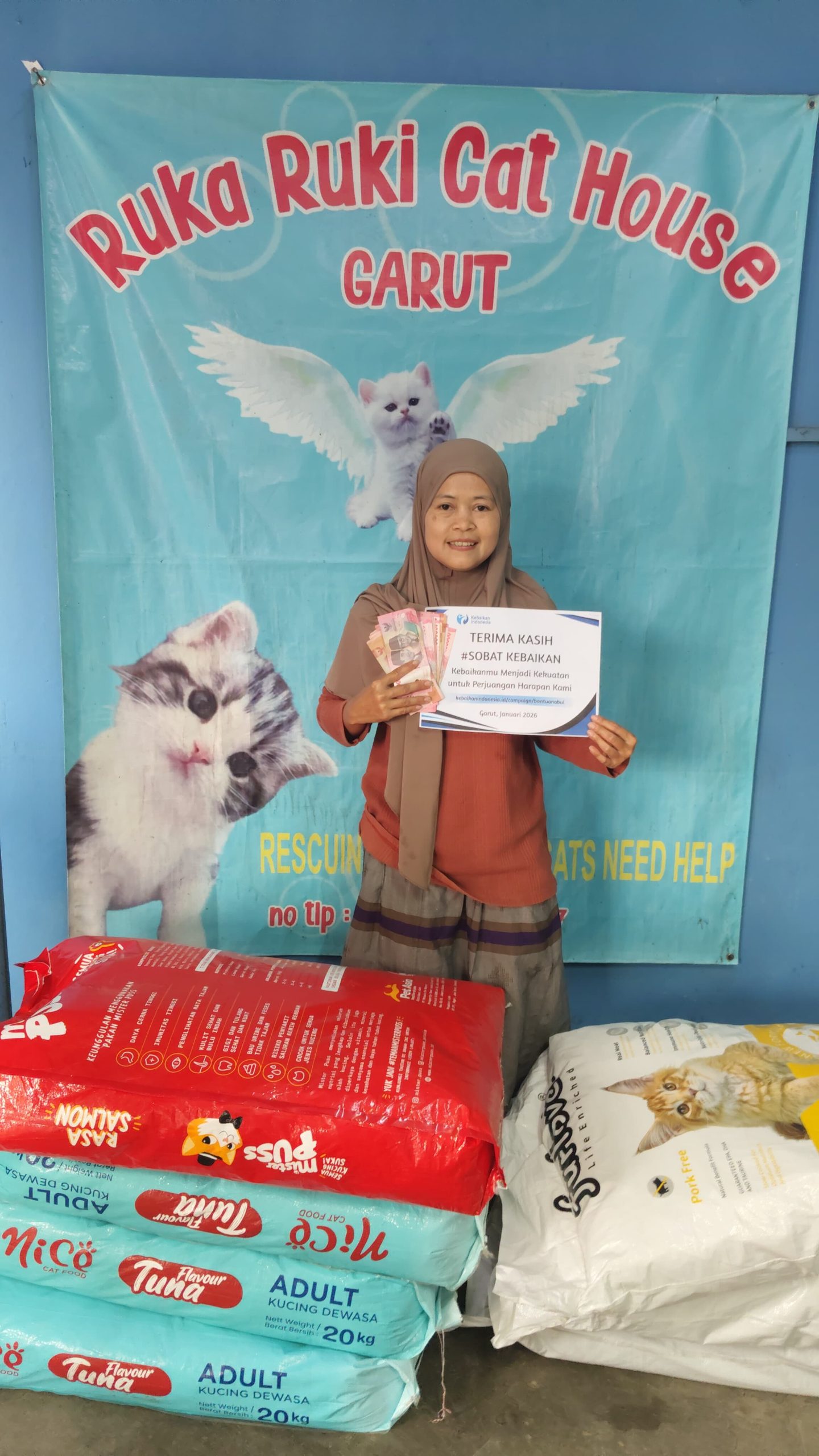 TERANCAM Kembali ke jalanan. Bantu Shelter Kucing Bertahan Di Tengah Kesulitan